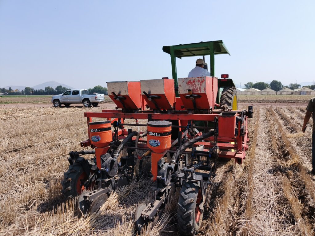 Calibración de fertilizadora en rastrojo para asegurar una aplicación uniforme en siembra directa. (Foto: Gabriel Martínez/CIMMYT)