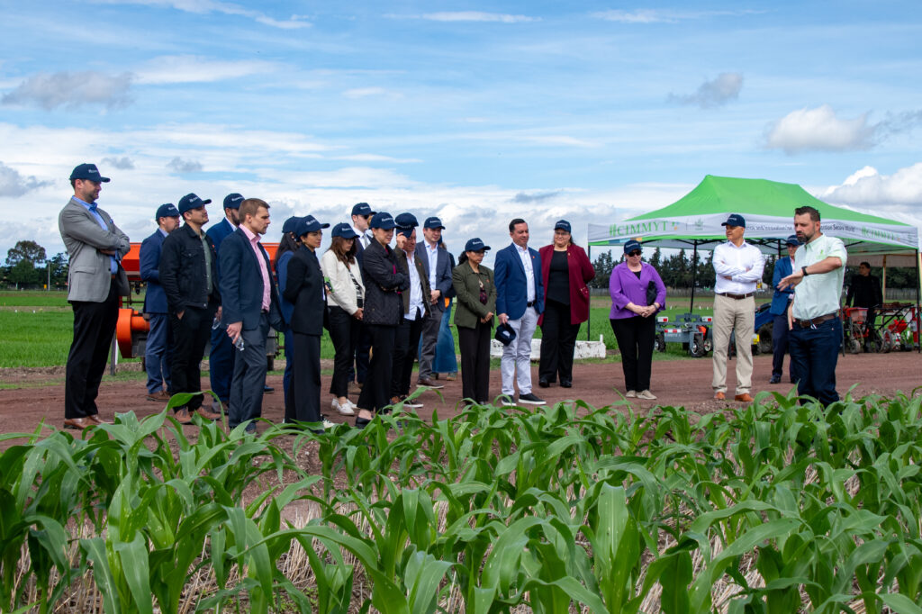 Representantes de Ingredion y CIMMYT visitan las plataformas de investigación para conocer prácticas agrícolas sustentables y tecnologías para la producción regenerativa. (Foto: Gabriela Bracamonte/CIMMYT)