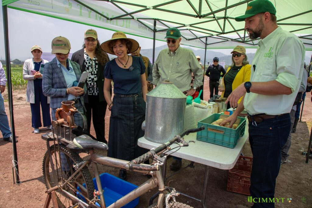 Autoridades conocen innovaciones sustentables y tecnologías apropiadas para pequeños productores durante su visita al CIMMYT. El Batán, 4 de julio de 2025. (Foto: Dinorah Guzmán/CIMMYT)