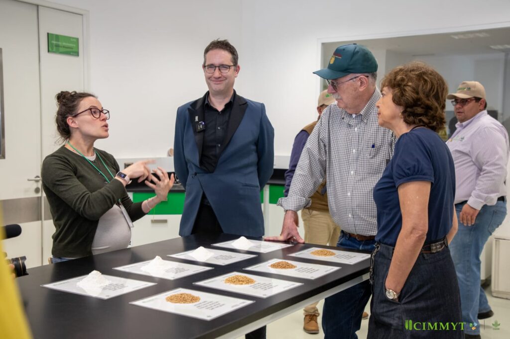 Autoridades conocen avances en mejoramiento genético y calidad nutricional del trigo durante su visita al laboratorio de biociencias del CIMMYT. El Batán, 4 de julio de 2025. (Dinorah Guzmán/CIMMYT)