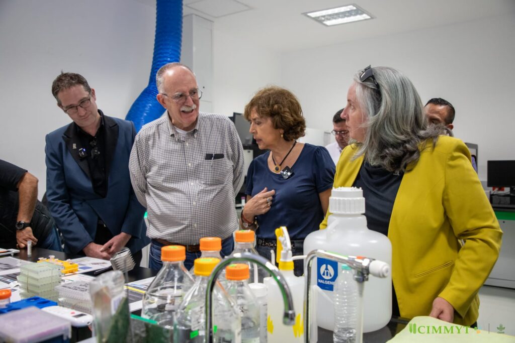Autoridades recorren el laboratorio de biociencias del CIMMYT para conocer investigaciones en nutrición y calidad de cultivos. El Batán, 4 de julio de 2025. (Foto: Dinorah Guzmán/CIMMYT)