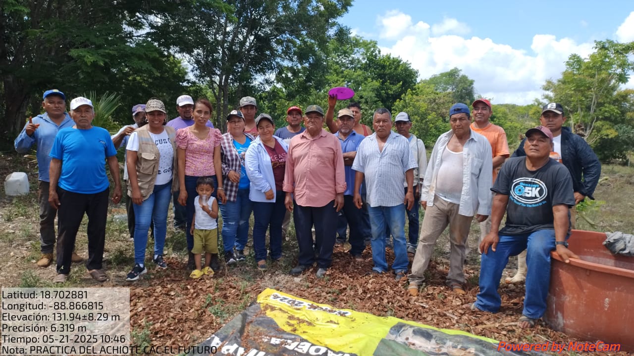 Gloria de Jesús Montiel (al centro, con blusa rosa) junto a productores y productoras de su comunidad durante una práctica en campo sobre el cultivo de achiote. (Foto: Cortesía de Gloria de Jesús Montiel)