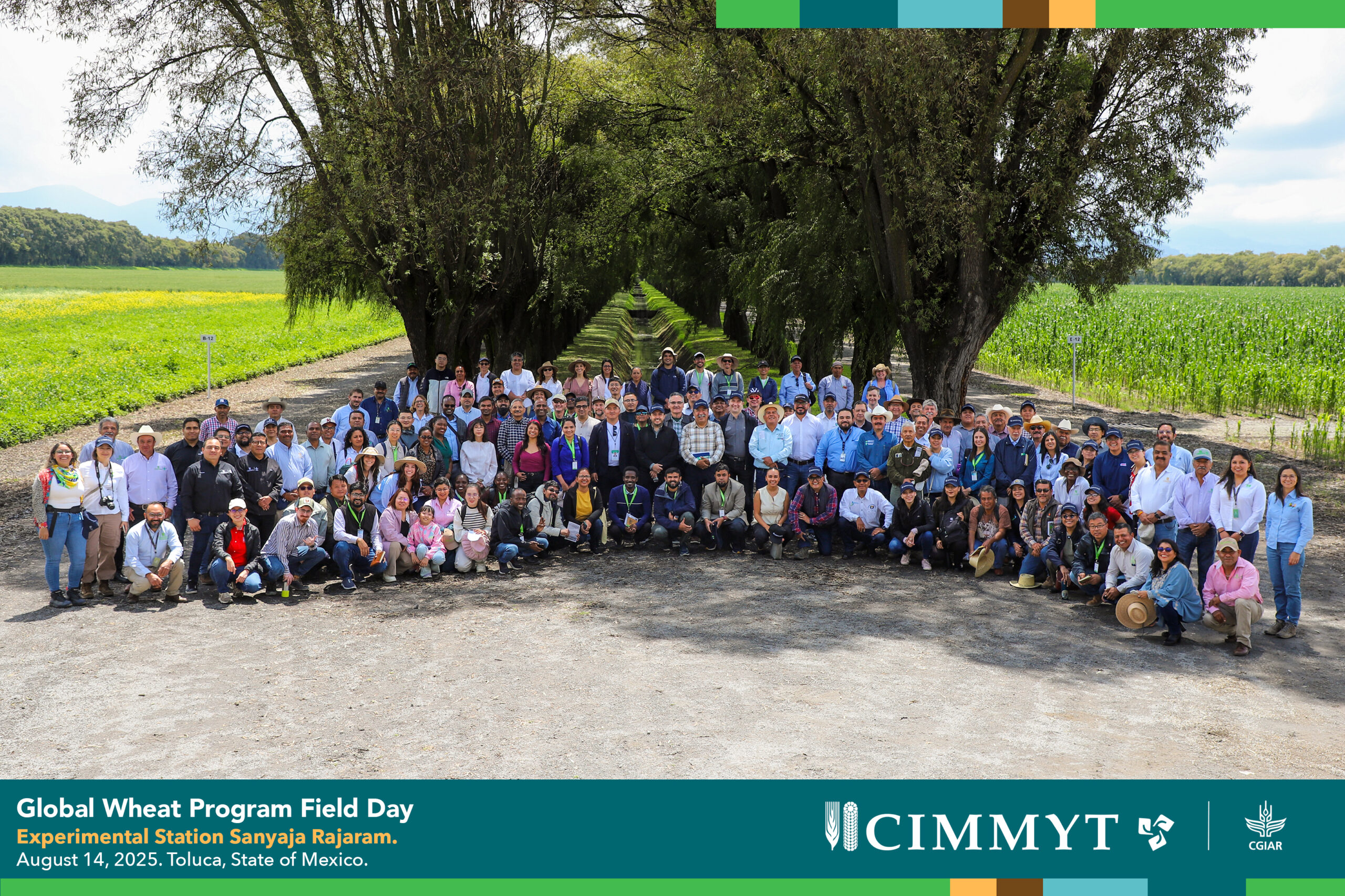 Participantes del Día de Campo del Programa Global de Trigo en el Centro Experimental Sanjaya Rajaram, Toluca, Estado de México, celebrado el 14 de agosto de 2025, donde se presentaron innovaciones para fortalecer la resistencia a enfermedades del trigo y su resiliencia climática. (Foto: Dinorah Guzmán/CIMMYT)