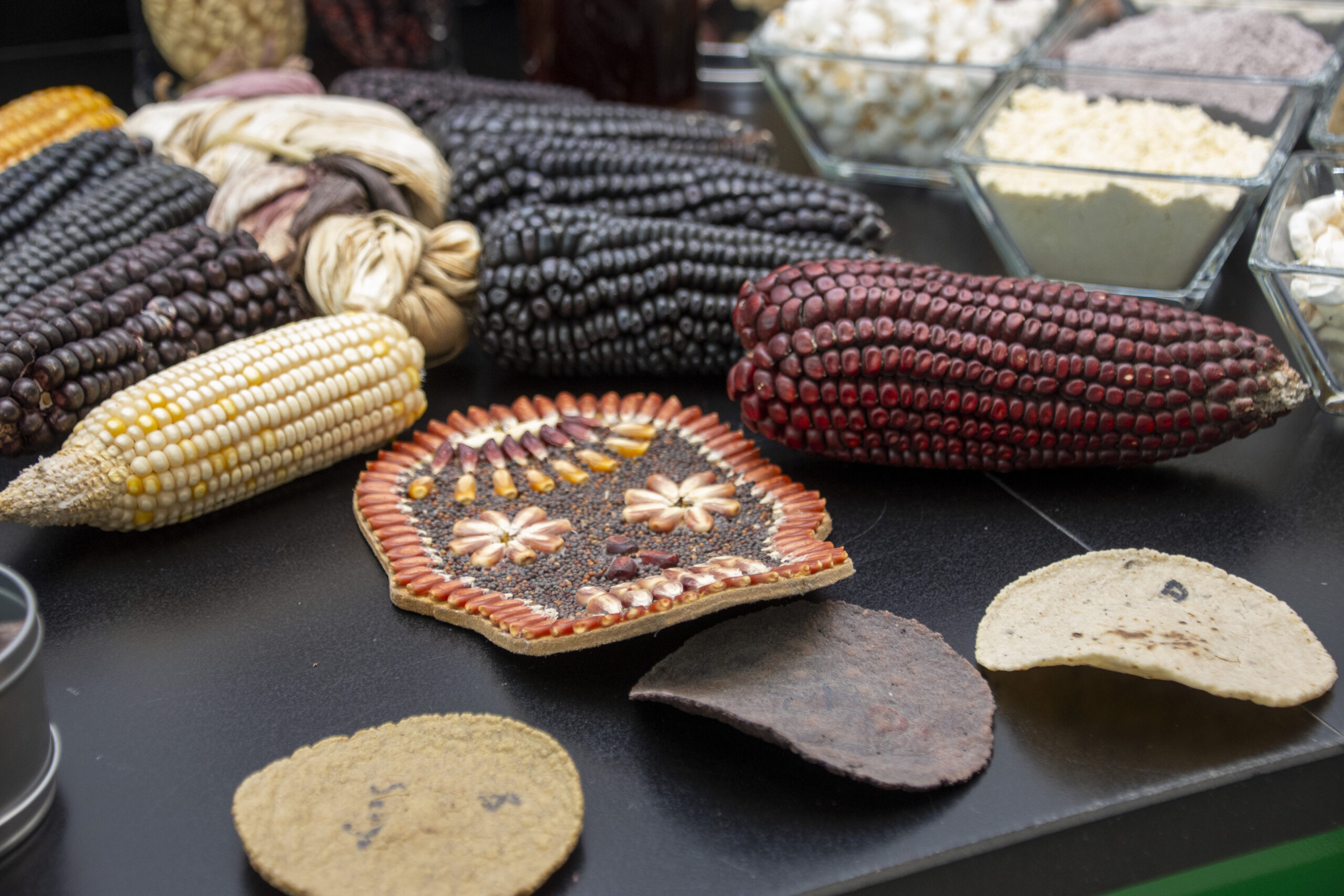 Diversidad de maíces y productos derivados analizados en el Laboratorio de Calidad de Maíz de CIMMYT, donde se evalúan sus atributos físicos, nutricionales e industriales. (Foto: Jenifer Morales/CIMMYT)