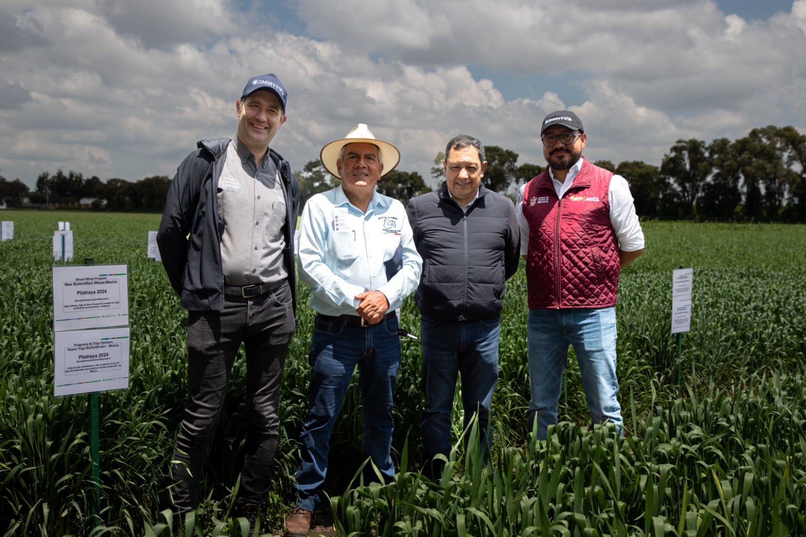 Autoridades y aliados estratégicos durante el Día de Campo en el Centro Experimental Sanjaya Rajaram, en Toluca, Estado de México, un espacio para presentar innovaciones que fortalecen la resistencia a enfermedades del trigo y su resiliencia climática, y para impulsar la producción sustentable en el estado y el país. (Foto: Dinorah Guzmán/CIMMYT)