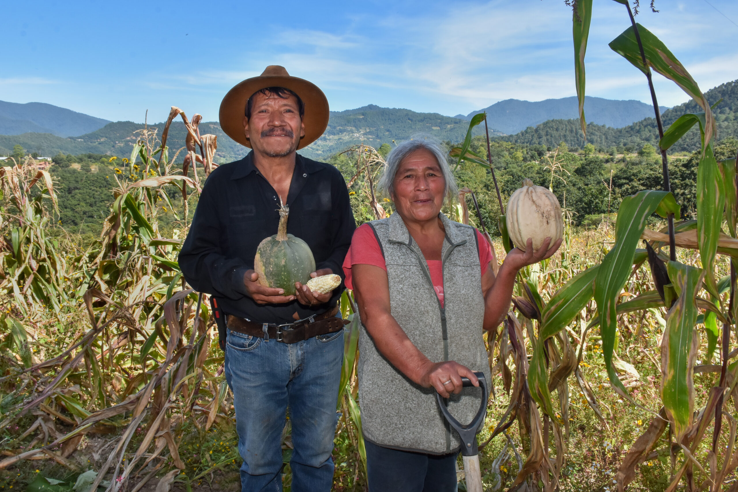 Productores muestran los frutos de la milpa, un sistema que combina tradición, biodiversidad y resiliencia frente al cambio climático. (Foto: Sarah Martínez/CIMMYT)