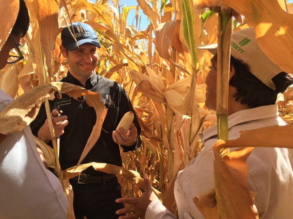 Un liderazgo que siembra innovación: Bélgica distingue a Bram Govaerts por su contribución global a la ciencia y la agricultura sostenible – CIMMYT