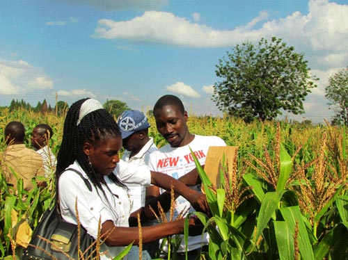 Zimbabwe-technicians