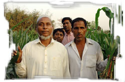 Resource-poor farmers tend the maize seed plot. The investment is worth it.