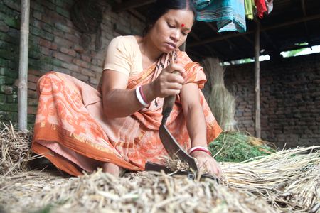 CIMMYT visit in Bangladesh