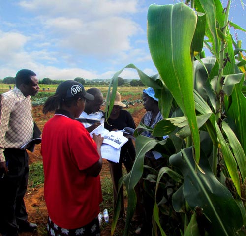 course-in-Zambia