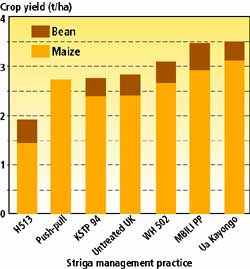 feb_graph