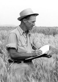 NEBorlaug