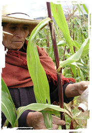 peru