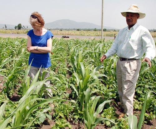 Diana+Tsedeke-examining-a-maize-field