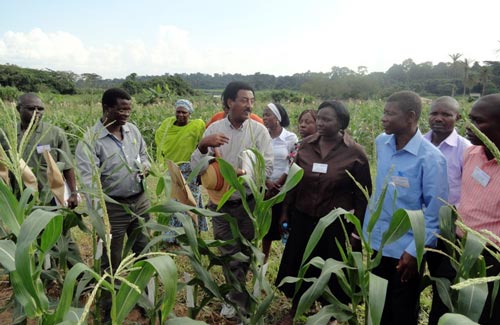 Menkir-and-group-IITA-Training-Aug-2012_JohnMacRobert