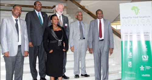 (From left): Dr. Solomon Aseffa (EIAR); Dr. Joseph M. Made (Zimbabwe); Ms. Odette Kayitesi (Burundi); Dr. Thomas A. Lumpkin (CIMMYT); Prof. Tekaligne Mamo (Ethiopia); and Dr. Ibrahim Adam Ahmed El-Dukheri (Sudan)