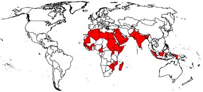map-wheat-africa-locations