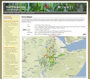 survey-mapper-i-rusttracker