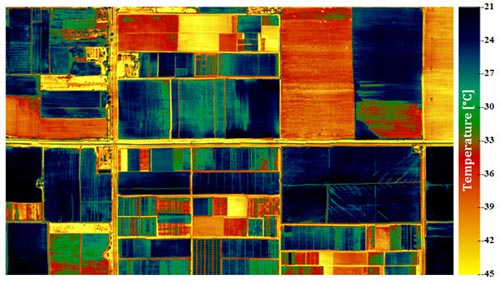 Thermal image of the CIMMYT-Obregon station acquired from the thermal camera at a 2-meter resolution on 14 February 2013. Well-watered (cooler) plots are shown in blue, water-stressed (warmer) plots in green and red. Roads and bare soil areas have an even higher temperature and are shown in yellow.