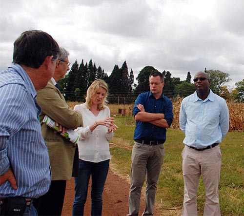 Seed systems specialist Peter Setimela explains the importance of regional on-farm trials to the Swiss Ambassador Luciano Lavizzari (middle) and SDC Food Security program officer for Zimbabwe Mkhululi Ngwenya.