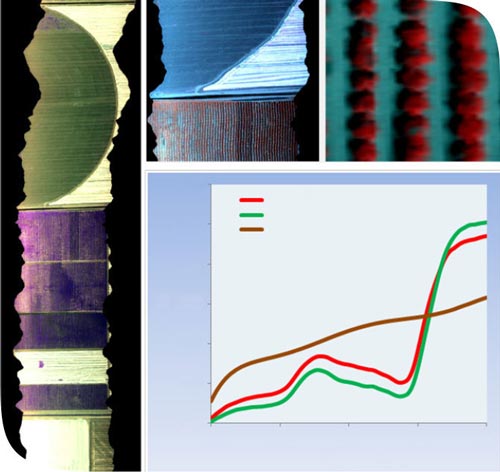 Hyperspectral flight line acquired near the CIMMYT station at Obregon acquired at 40 cm resolution on 15 May 2013 (left). Areas with dense vegetation and trees orchards shown in red (top inserts). The graph shows the full hyperspectral signatures extracted from the imagery from healthy and stressed vegetation pixels, and from a soil target after radiometric calibration and atmospheric correction methods are conducted in the laboratory at CIMMYT.