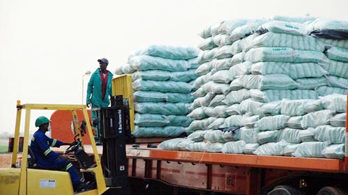 DSC_6274_loading-maize-seed-for-transportation