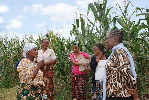 Farmers gather during a field day hosted by a seed company in Tanzania.
