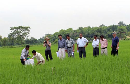 Visitors see a demonstration on greenhouse gas measurements in CIMMYT’s long-term trial on conservation agriculture in rice-wheat systems at the Rajendra Agricultural University farm, Pusa. Photo: Deepak Kumar Singh/CIMMYT