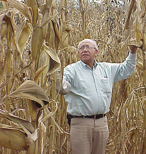 Photo: M.C. Manuel Guerrero of INIFAP Obregón