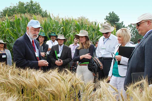 From left to right: Thomas Lumpkin, Elizabeth Amarillas, Ravi Singh, Jalal Kalantari, Luis A. Fourzan, Ashleigh McArthur, Malkhaz Mikeladze, Irena Valkyova and Hristo Georgiev Gudjev. Photo: Xochiquetzal Fonseca/CIMMYT