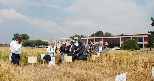 Photo: Xochiquetzal Fonseca/CIMMYT