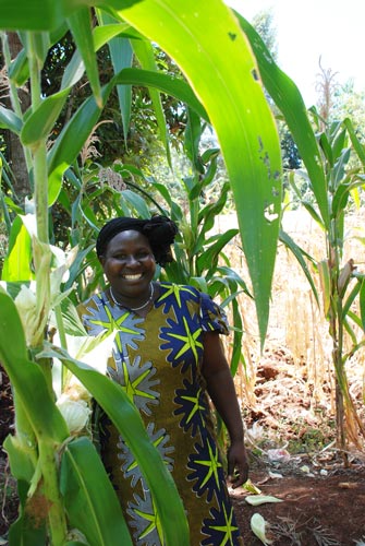 Mercy Wawira, farmer who participated in the IMAS on-farm trial in Kenya’s Embu County