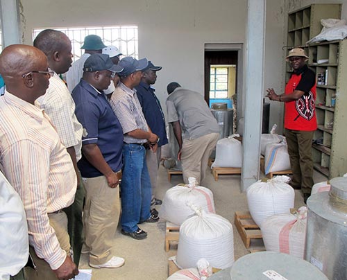 Paddy Likhayo, an entomologist with KARI, explains to the delegation the on-station demonstration trials at the Nakuru Agricultural Technology Development Center. Photo: Wandera Ojanji/CIMMYT