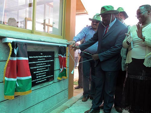 Felix Koskei, Kenya’s Cabinet Secretary for Agriculture, unveils the plaque of the Doubled Haploid Facility in Kiboko, Makueni County. Looking on is Bodduppali Prasanna, director of CIMMYT’s Global Maize Program (Left), Thomas Lumpkin, director general of CIMMYT and Ruth Kyatha from the Makueni County Cabinet Secretary for Agriculture. Photo: Wandera Ojanji