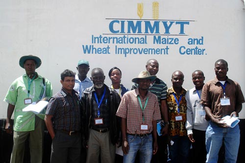 SEMIs-pic-to-Cimmyt