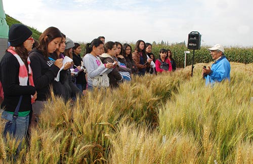 photo: Xochiquetzal Fonseca/CIMMYT