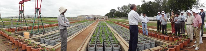 A high-profile delegation from Groupe Limagrain, led by its CEO, visits the newly-established root phenotyping facility at CIMMYT-Hyderabad, India. Photo: T. Durga/CIMMYT