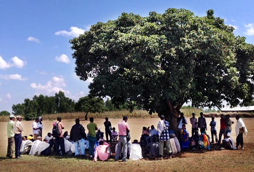 Farmers discuss their experiences with conservation agriculture technologies. Photo: Moti Jaleta