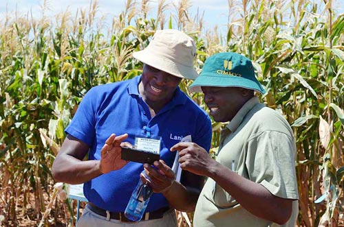 Paul Imo (left), a participant at the seed production and management course, compares notes on his phone with a colleague during a visit to the Kiboko research station. Photo: Michael Arunga/CIMMYT