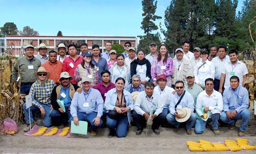 Improved-maize-varieties-demonstrated-in-Mexico