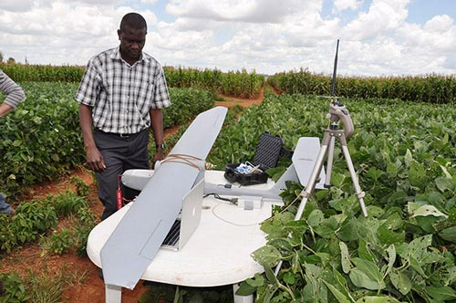 The "Sky Walker” advances phenotyping in Zimbabwe. Photo: J.L. Araus, University of Barcelona/CIMMYT