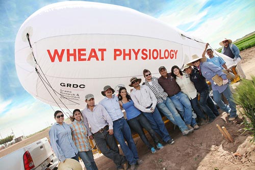 Members of the wheat physiology group pose with a blimp used for aerial remote sensing.