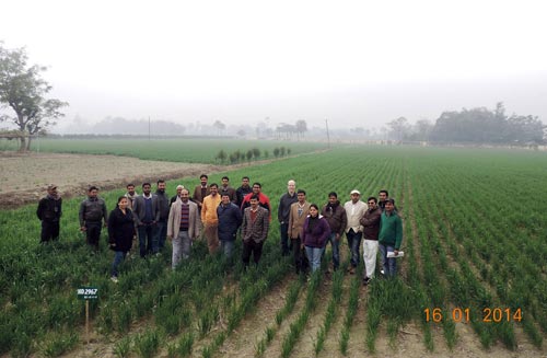 Participants gather in Bihar, India. Photo: Manish Kumar/CIMMYT