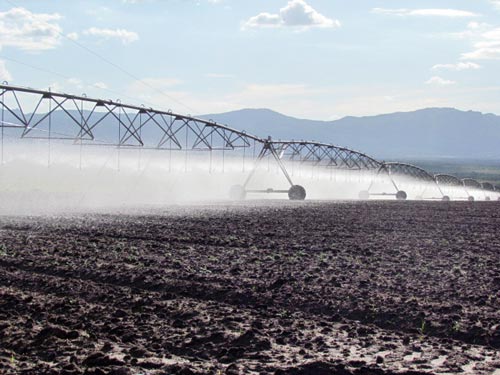 Pivot irrigation at a seed production farm in Angola. Both Kambondo and Matogrosso farms use pivot irrigation; this frees the farms from dependence on rain for seed production.