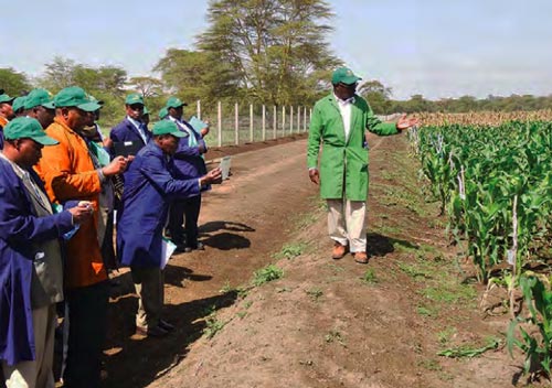 CIMMYT pathologist Dr. George Mahuku gives a guided tour of the MLN Screening Facility in Naivasha, Kenya. Photo by Florence Sipalla.