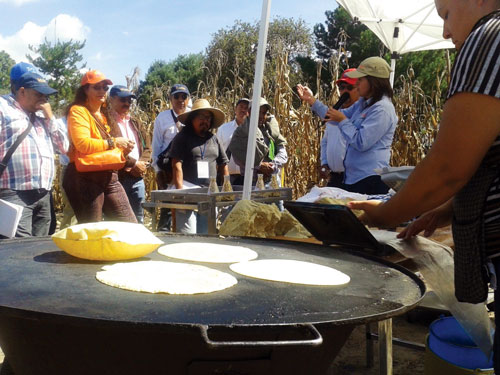 Natalia Palacios (green hat, right), maize nutrition quality specialist, explained the process for defining grain quality and outlined dough and tortilla industry requirements.