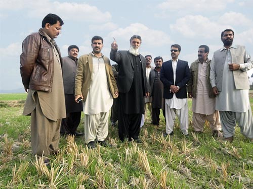 Participants in zero tillage wheat field. Photos: Naveed Ahmed Sheikh from Balochistan.