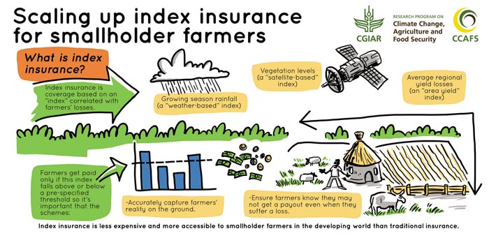 Index-Insurance
