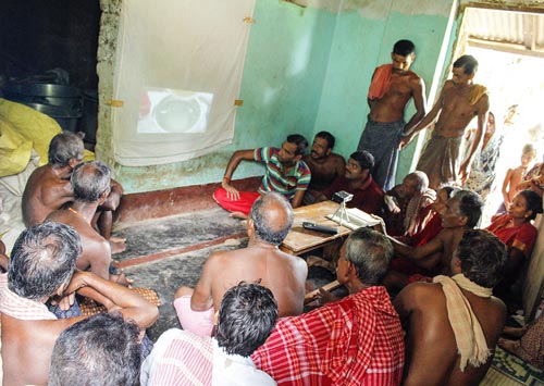 Farmers watch a video on disease control at a community video screening in Puri district, Odisha. Photo credit: Ashok Rai/CIMMYT